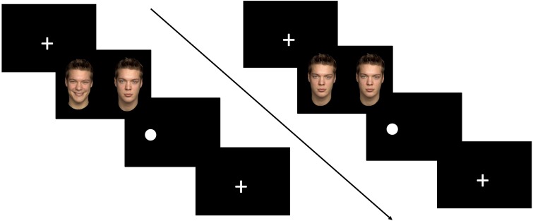 آزمایش Dot-Probe